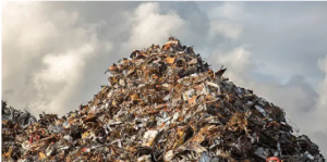 rubbish dump cost