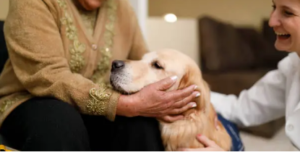 Canine PT and Me dog physical therapist near me