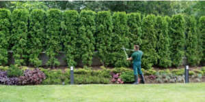 gardening expert