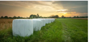 organic silage wrap