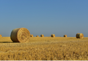 square baler twine application