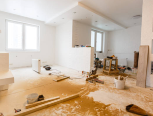 minimalist home extensions