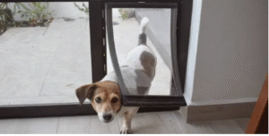 safest pet doors