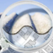 asbestos inspection Adelaide