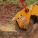stump removal Adelaide Hills