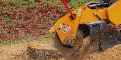 stump removal Adelaide Hills