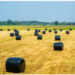 bale wrap