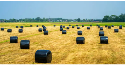 bale wrap